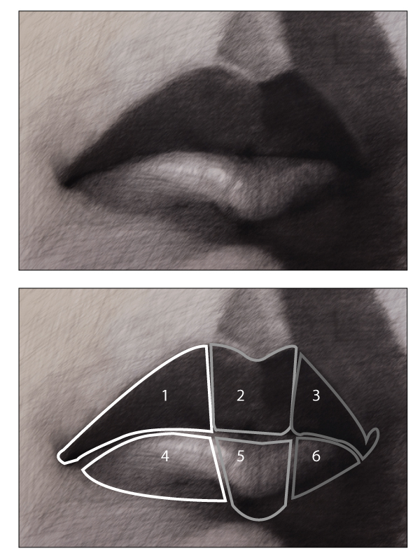 Paint Draw Paint, Learn to Draw: Drawing Basics: Drawing the Mouth and Lips