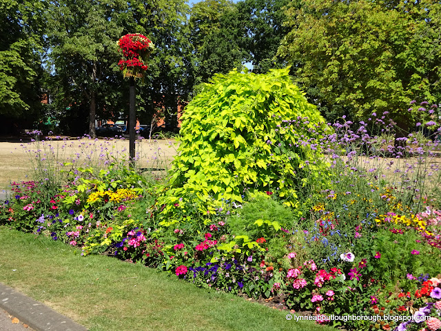 Blooming flowers in park setting