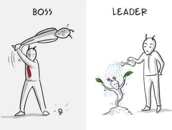 So The Boss or Leader ?