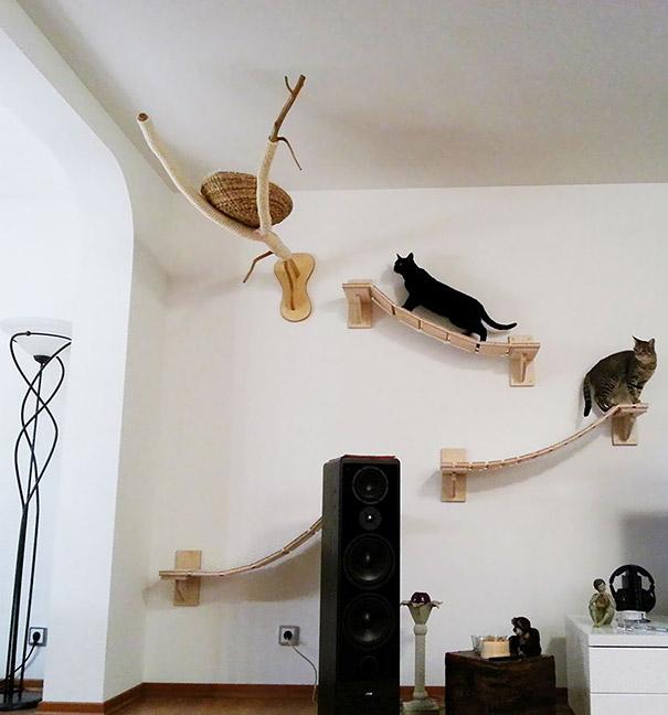 Como deixar sua casa mais confortavel e divertida para seus gatos: Pontes e ninhos