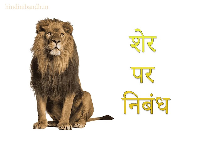 शेर पर निबंध | Hindi Essay On Lion | Sher Par Nibandh