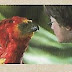 Série Harry Potter, Fênix