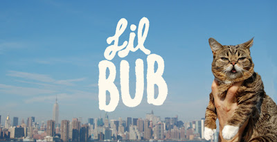 Lil Bub & Friendz Barrel dEM