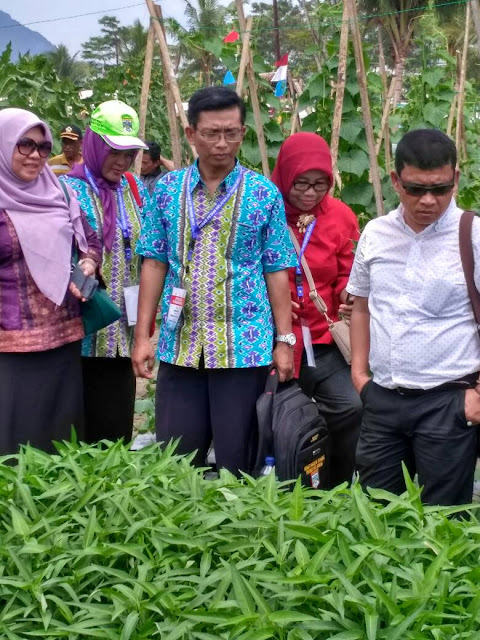 Wabup Muratara Harapkan Ada Inovasi Para Petani Dalam Bercocok Tanam