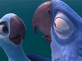 【人気ダウンロード！】 rio 2 jewel and roberto 153235-Rio 2 roberto and jewel