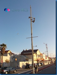 DSCF2521