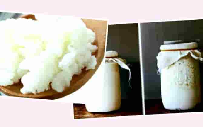 Kefir milk