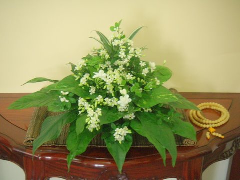智廣學佛會 花語 供花