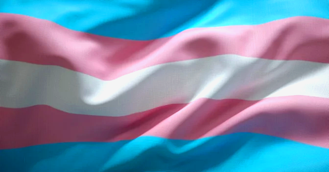 Bandera Trans