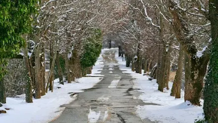 Дорога любові в Греції