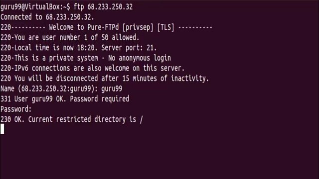 ftp command line in linux