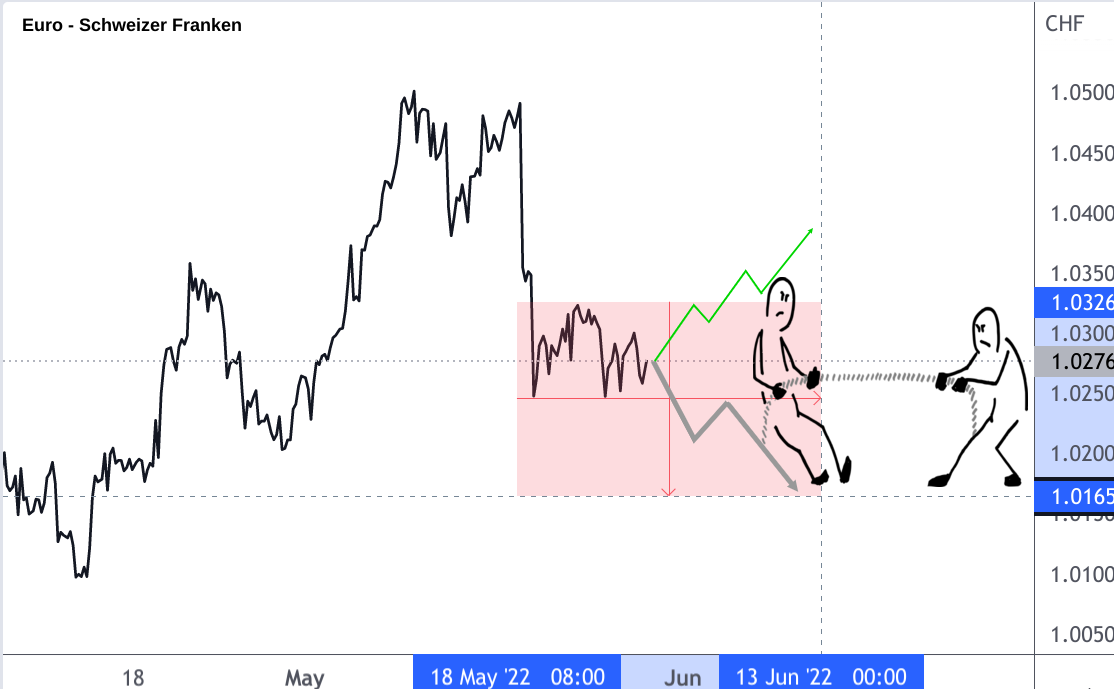 EUR/CHF Linienchaft mit eingezeichneter Prognose Juni 2022