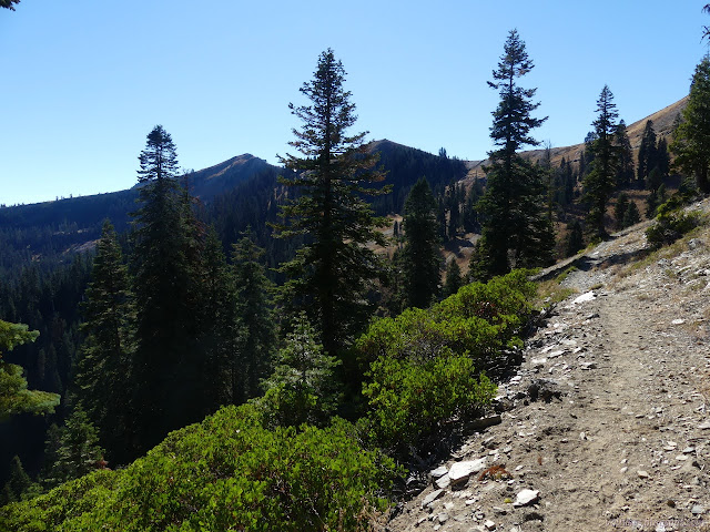 along the trail