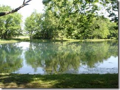 Williams pond