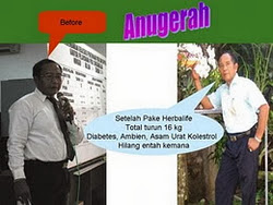  herbalife untuk diabetes