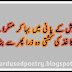 Barish Poetry in Urdu 2 Lines,  Rain Urdu Poetry Pictures, Rain Pics with Urdu Poetry