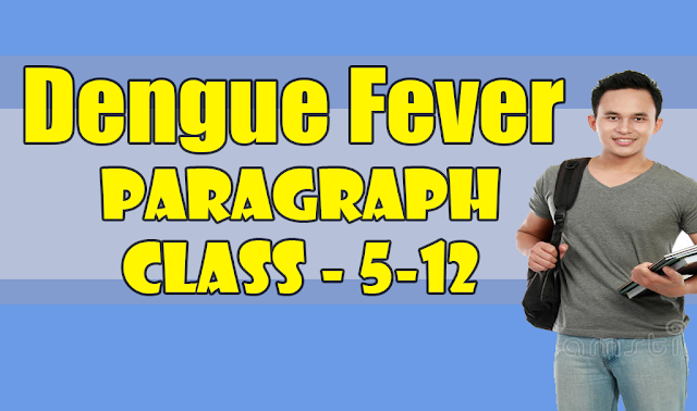 Dengue Fever Paragraph 200 Words for Class 10, SSC, and HSC