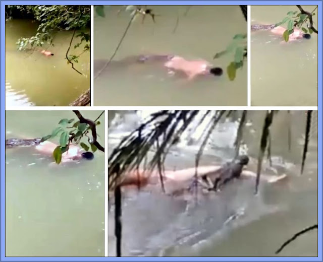 An Indonesian Man Taken By Crocodile