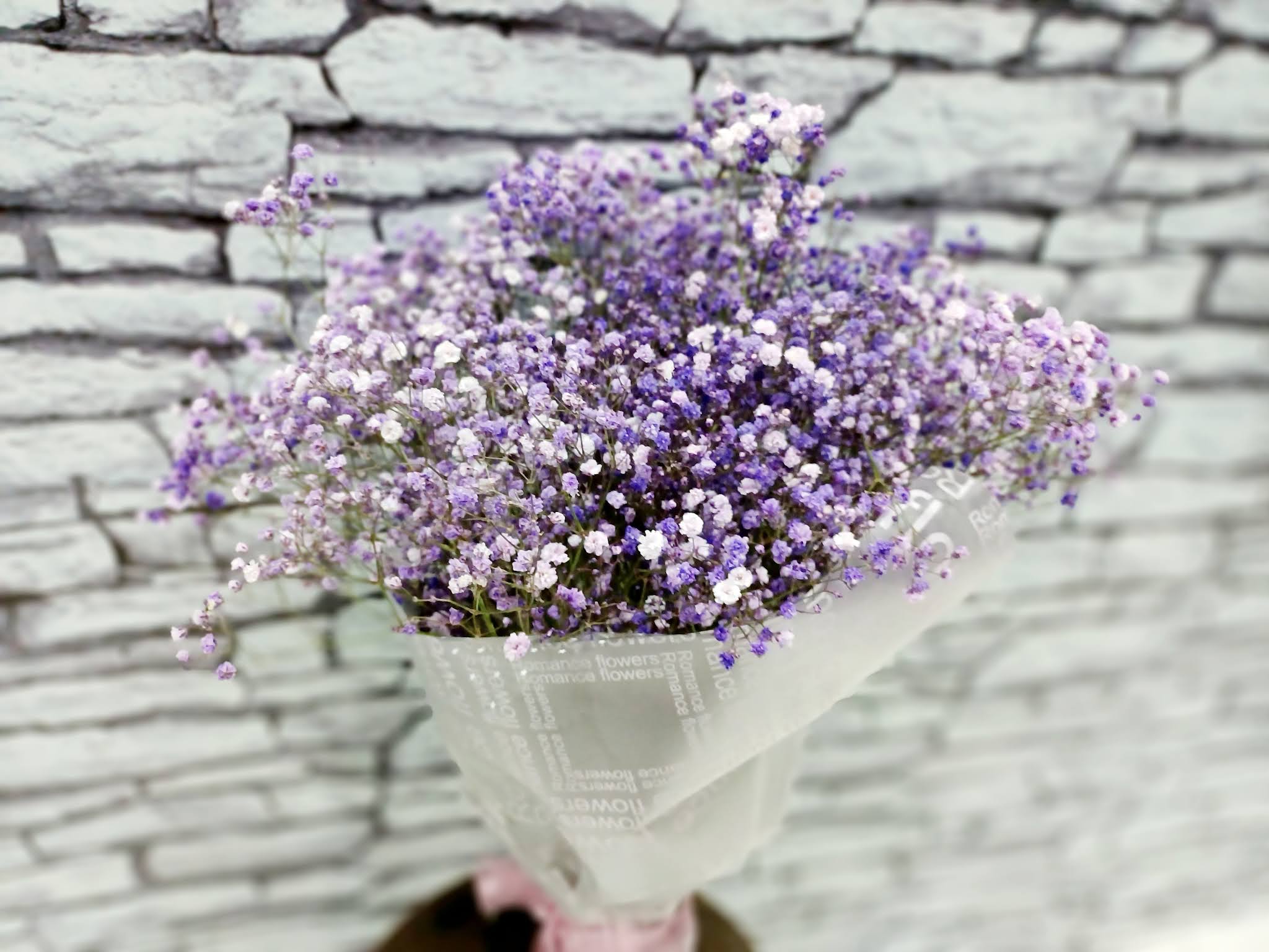 Terima Kasih Kerana Sejambak Lavender Ini!