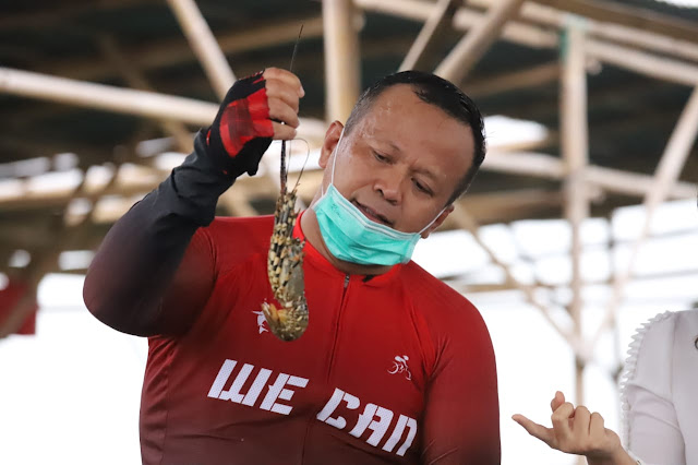 Nawawi Pomolango Benarkan Kaitan Edhy Prabowo dan Ekspor Benik Lobster.lelemuku.com.jpg