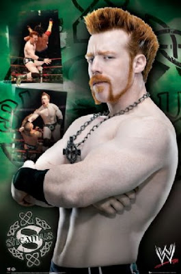 sheamus pics 2012