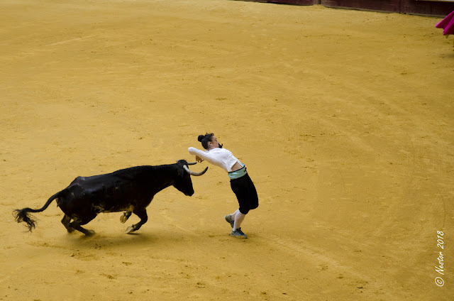 Fiestas San Mateo 2018. Logroño - La Rioja