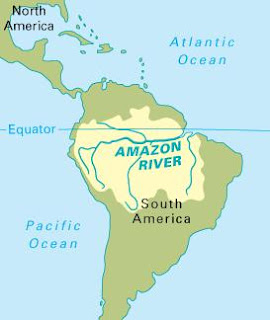 facts about The Amazon rain-forest 