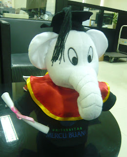 Boneka wisuda, grosir boneka wisuda, boneka wisuda murah