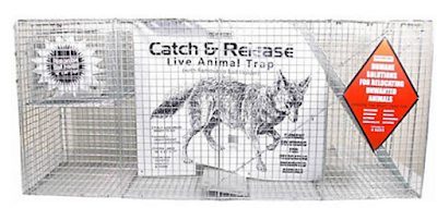 https://www.tractorsupply.com/tsc/product/countyline-catch-and-release-live-animal-trap-58-in-x-17-in-x-26-in