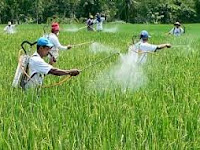 Manfaat Ilmu Kimia Dalam Bidang Pertanian