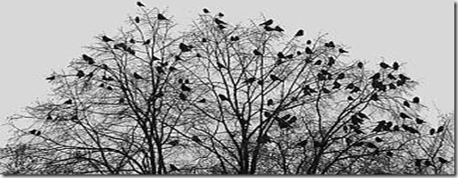 BLOG tree with birds