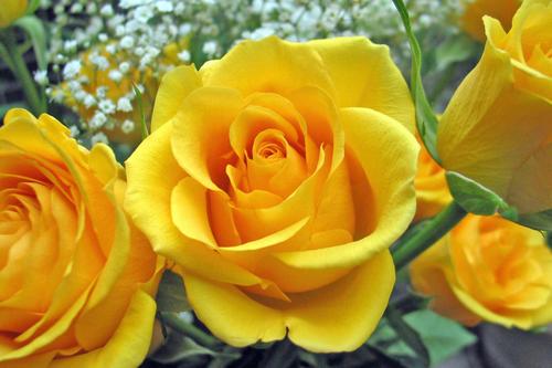 Yellow in a flower arrangement