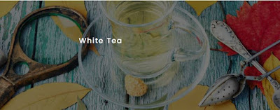 5-reasons-to-buy-white-tea-online-from-Teanourish-The-Best-Online-Tea-Store