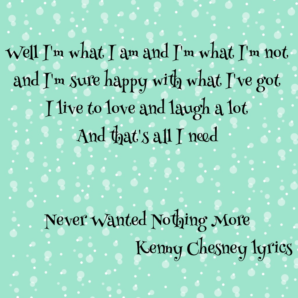 His song Never Wanted Nothing More is one of my favorites and the chorus really speaks to who I am This is me I have great family awesome friends