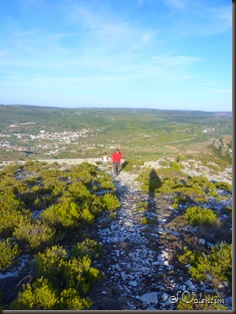 P1170543