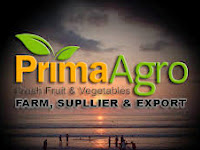 Lowongan Kerja Prima Agro (Account Affice, Administrasi, Sales, Driver) - Semarang 