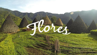 Kopi Nusantara, Kopi Flores