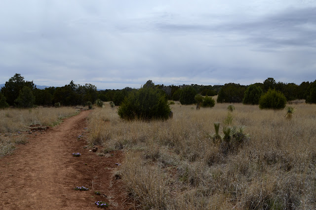 getting back, houses in view