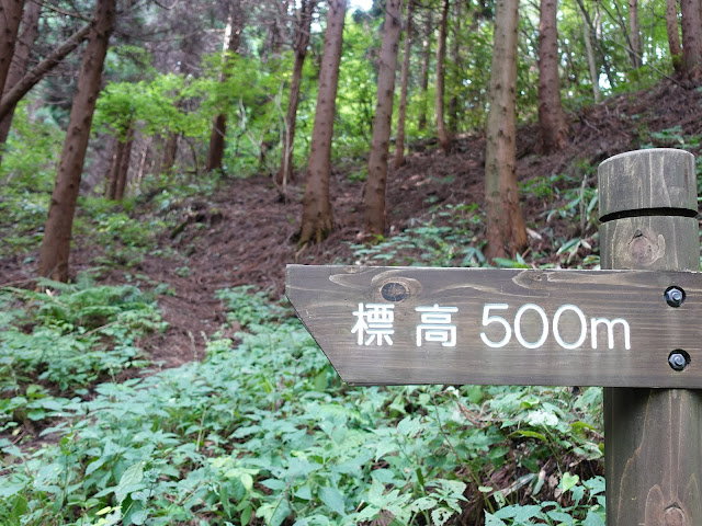 鳥取県西伯郡南部町東上の鎌倉山に登ります