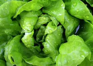 Pros and cons of eating spinach