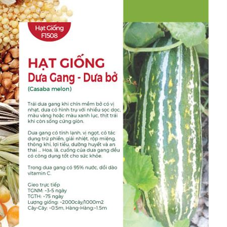 Hạt giống Dưa Gang - Dưa bở 540AQ