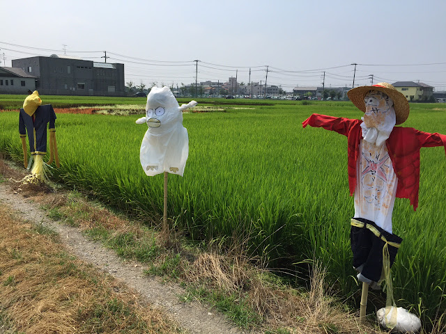 こしがや田んぼアート2015食戟のソーマ（8/2）