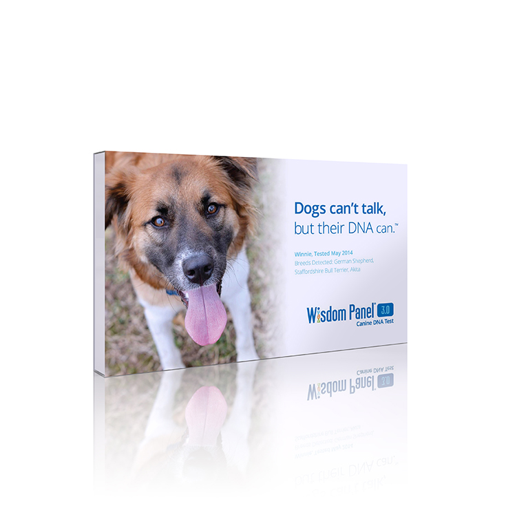 Check out how you can get "answers" from your pooch and find out all the details on how a Doggy DNA test could save your pup's life!