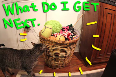 pet toy storage solution 01