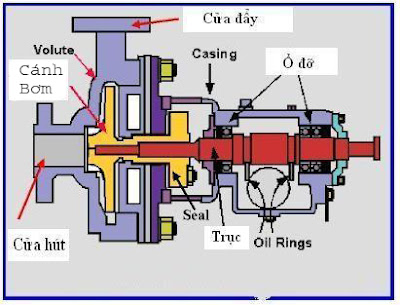 Cấu tạo và nguyên lý hoạt động máy bơm nước đẩy cao - Siêu Phong