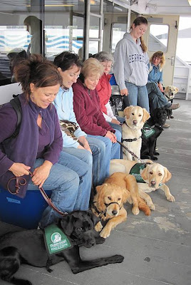 Pups and people huddled together on the ferry for warmth