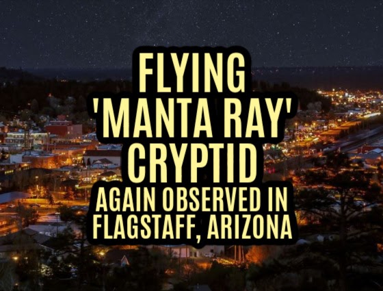 Flying 'Manta Ray' Cryptid Again Observed in Flagstaff, Arizona