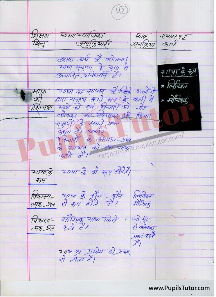 bhasha par Lesson Plan in Hindi for BEd and DELED