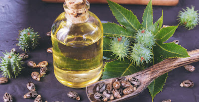 toronto castor oil