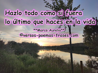 frases y proverbiso sabios